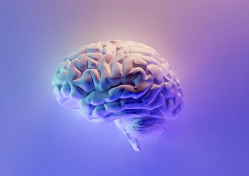 脳をモデルとする機械学習