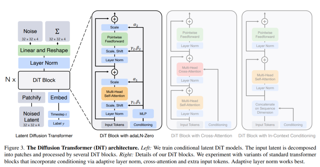 the Diffusion Transformer (DiT) architecture