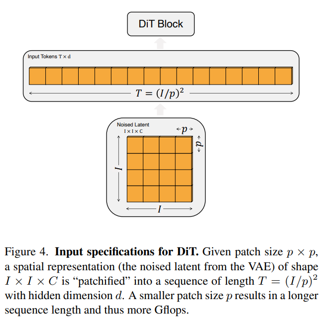 Diffusion Transformer: input specifications for DiT