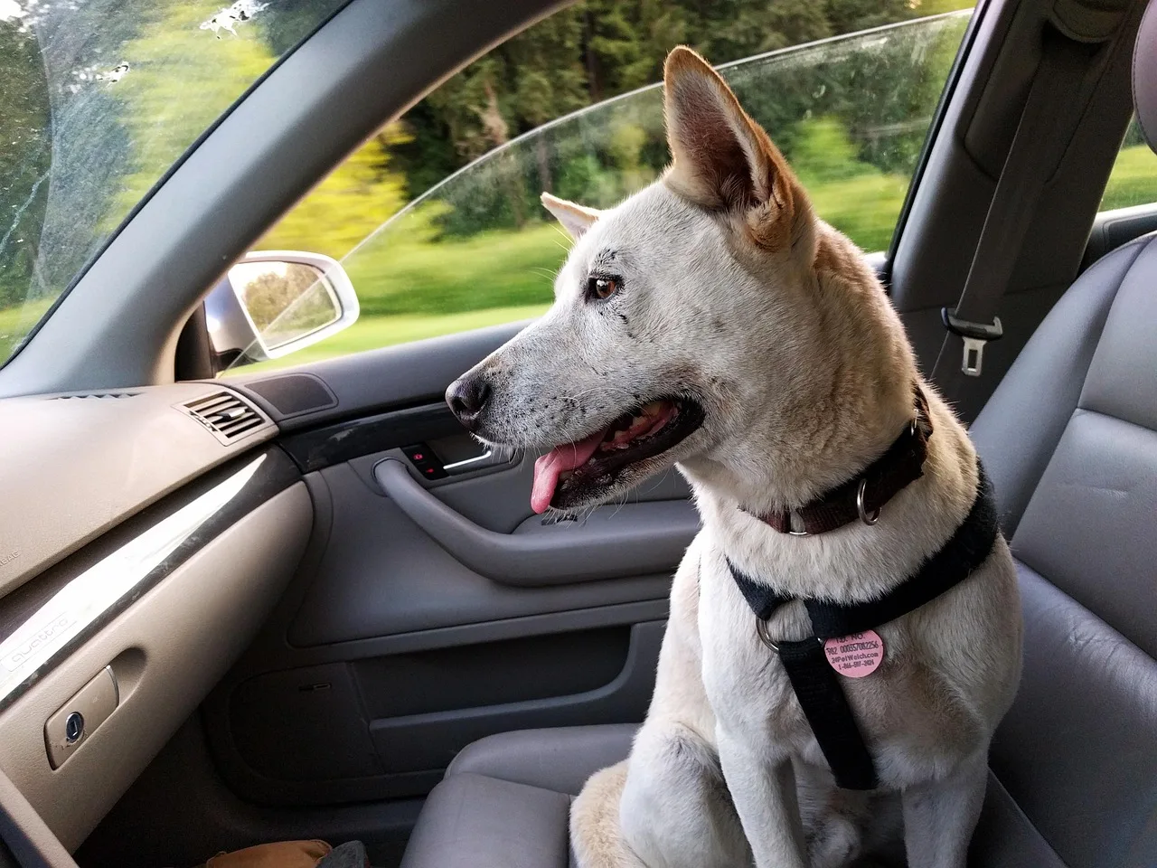 copilot365の使い方｜業務アプリ別機能と導入前提を解説