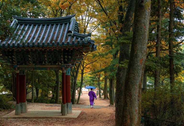Claudeの企業利用メリットとは？韓国市場の急躍進から紐解く日本企業の導入判断